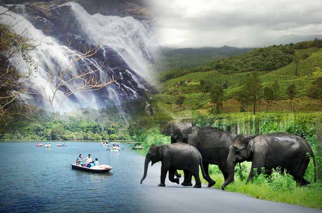 make wayand your next travel destination