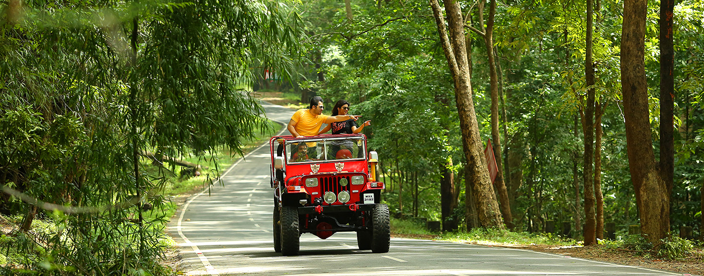 eco Friendly resort in athirapally | Plantation Resort Athirapally