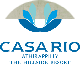 resort near athirapally | resort near athirapally falls